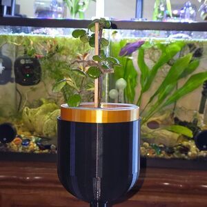 Fish Tank Decor Live Plant Planter Aquarium Wicking Pot Black Gold Self Watering
